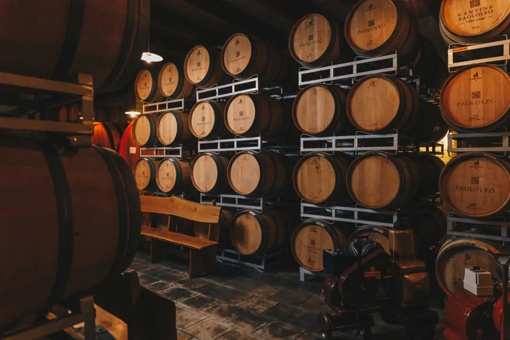 Primitivo di Manduria D.O.P. 1,5L Passo del Cardinale Paololeo+Tubus 