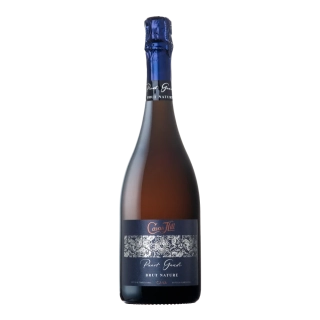D.O. Cava Brut Nature Panot Gaudí Cavas Hill BIO
